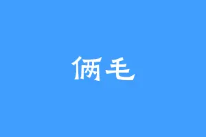 俩毛