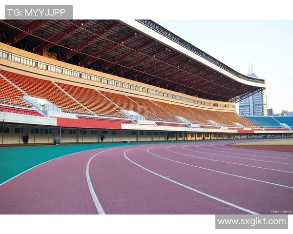 重庆排球队的转型升级之路探索与未来展望